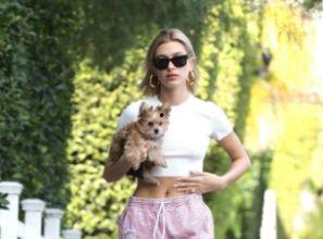 海莉网友爆料视频大全在线观看,揭秘网络热点背后的真相  第2张